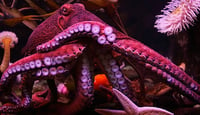 B9Creations_3D Printed Octopus-Inspired Adhesive Skin