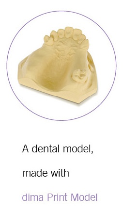 Dental Model