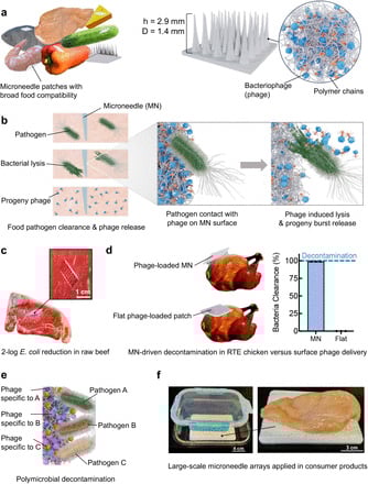Microbial Microneedles 1