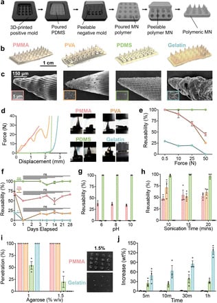 Microbial Microneedles 2
