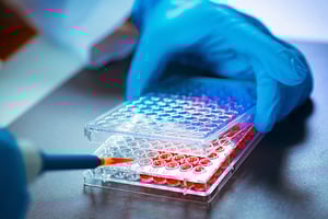 Tissue Engineering-1