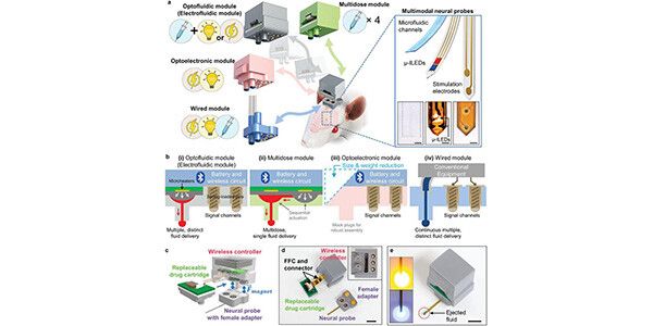 Advancing Neuroscience with Modular Neural Devices