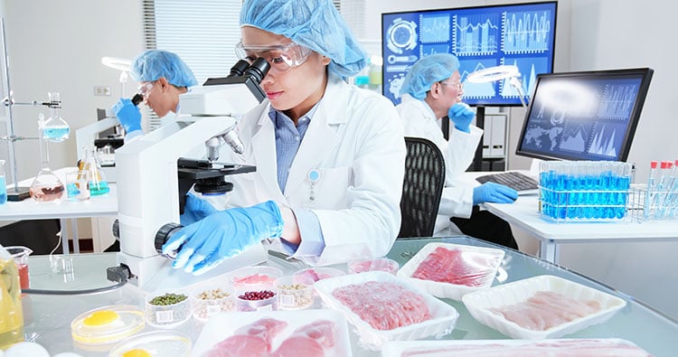 Revolutionizing Food Safety with Microbial Microneedles